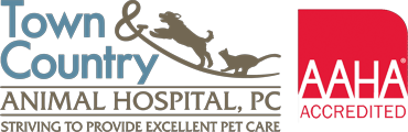 Veterinarian in Athens | Vet Near You | Town & Country Animal Hospital