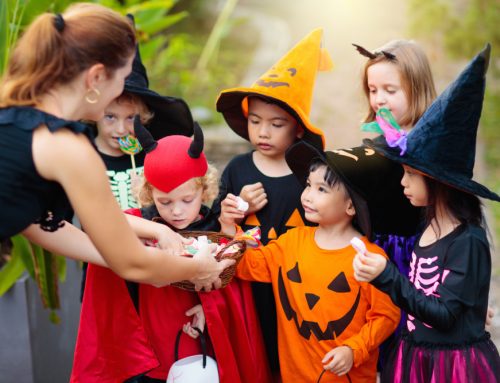 Pookie’s Pet-rifying Party—Halloween Pet Safety